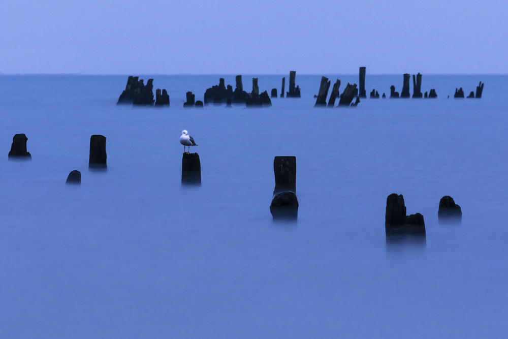 10. Platz Jürgen Feldmann